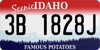 ID license plate 3B1828J
