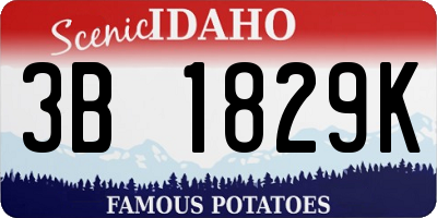 ID license plate 3B1829K