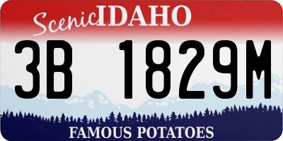 ID license plate 3B1829M