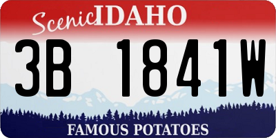 ID license plate 3B1841W