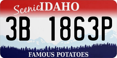 ID license plate 3B1863P