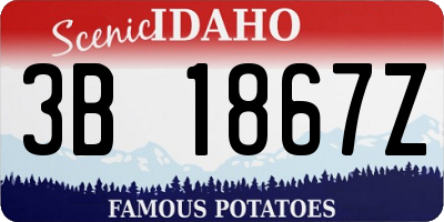 ID license plate 3B1867Z