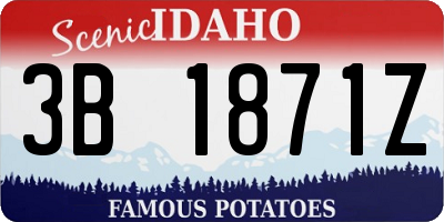ID license plate 3B1871Z