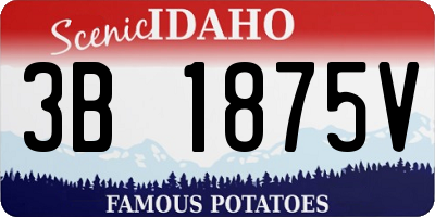 ID license plate 3B1875V