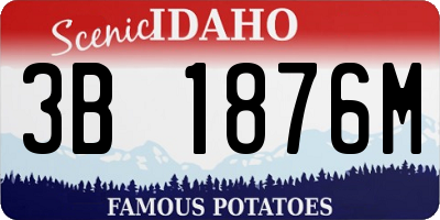 ID license plate 3B1876M