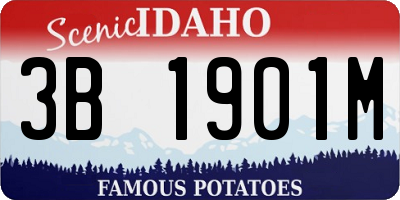 ID license plate 3B1901M