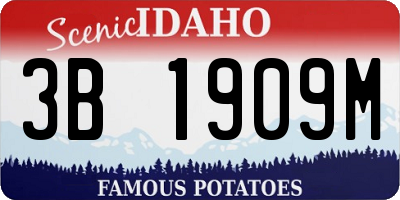 ID license plate 3B1909M