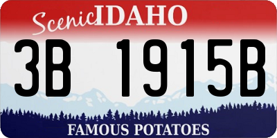 ID license plate 3B1915B