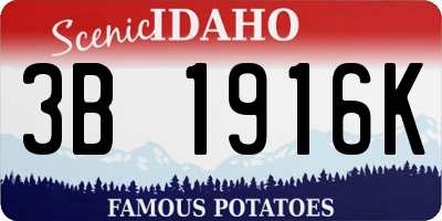 ID license plate 3B1916K