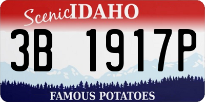 ID license plate 3B1917P