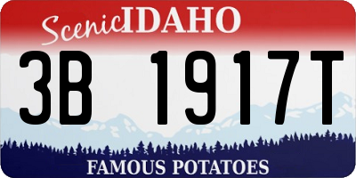 ID license plate 3B1917T