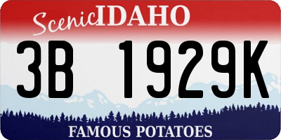 ID license plate 3B1929K