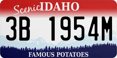 ID license plate 3B1954M