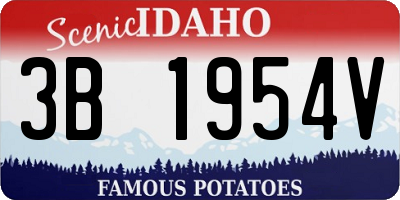 ID license plate 3B1954V