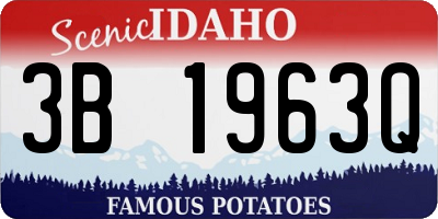 ID license plate 3B1963Q