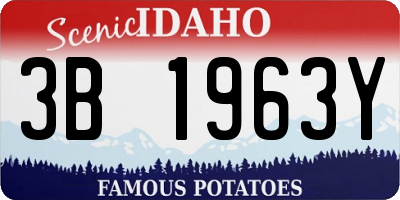 ID license plate 3B1963Y