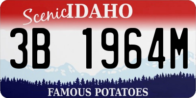 ID license plate 3B1964M
