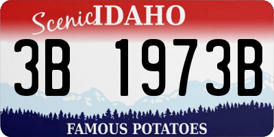 ID license plate 3B1973B