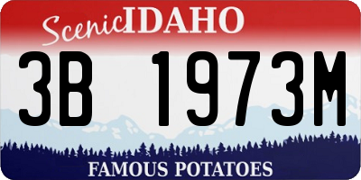 ID license plate 3B1973M