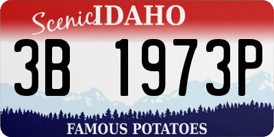 ID license plate 3B1973P