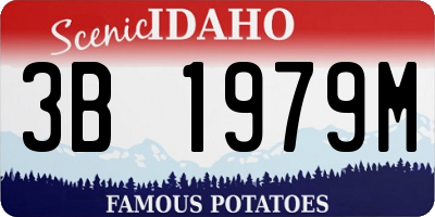 ID license plate 3B1979M