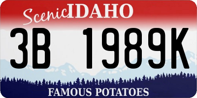 ID license plate 3B1989K