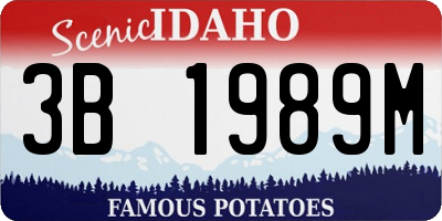 ID license plate 3B1989M