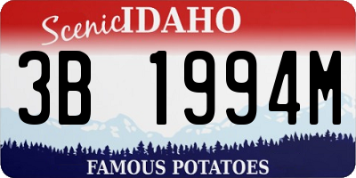 ID license plate 3B1994M