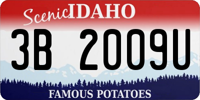 ID license plate 3B2009U