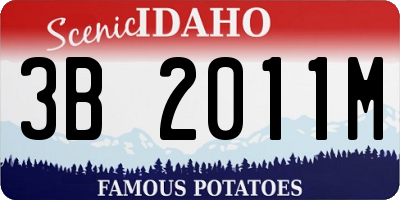 ID license plate 3B2011M