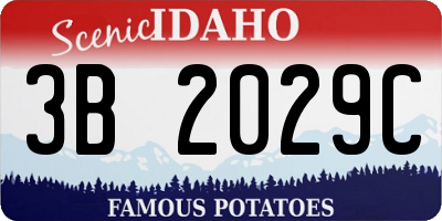 ID license plate 3B2029C