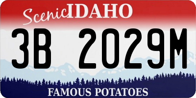ID license plate 3B2029M