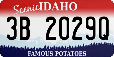 ID license plate 3B2029Q
