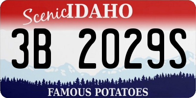 ID license plate 3B2029S