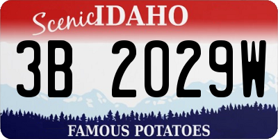 ID license plate 3B2029W