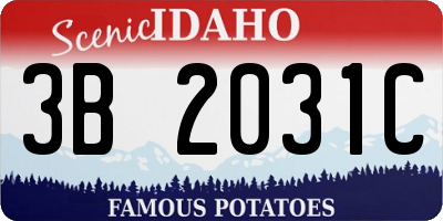 ID license plate 3B2031C