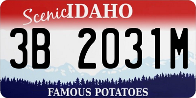 ID license plate 3B2031M