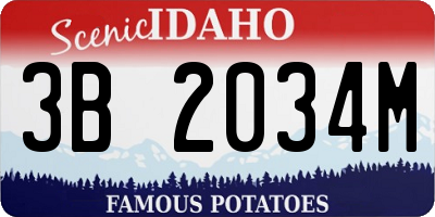 ID license plate 3B2034M