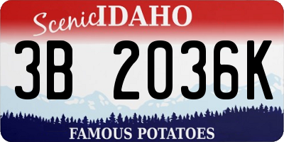 ID license plate 3B2036K