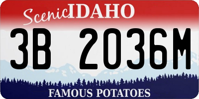 ID license plate 3B2036M
