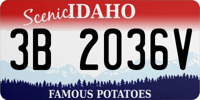 ID license plate 3B2036V