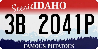 ID license plate 3B2041P