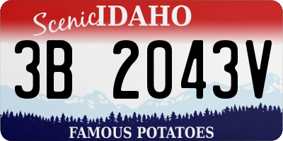 ID license plate 3B2043V