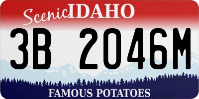 ID license plate 3B2046M