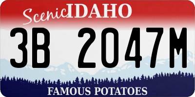 ID license plate 3B2047M