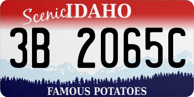 ID license plate 3B2065C