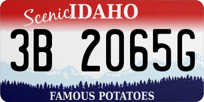 ID license plate 3B2065G