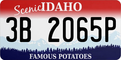 ID license plate 3B2065P