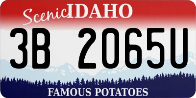 ID license plate 3B2065U