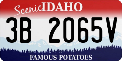 ID license plate 3B2065V
